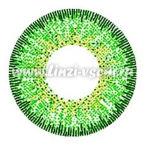 Цветные линзы EOS J324 Green Фото 4